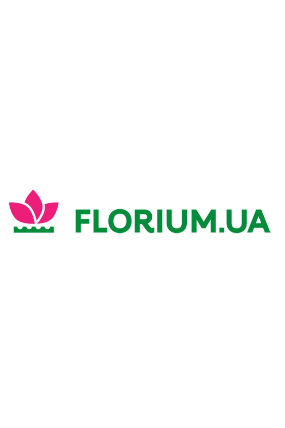 Florium.Ua: Гортензия Little Blossom (саженцы) -40%