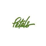 Petals : Desktop Silk Poinsettia Plant