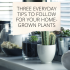 Five Plants that Smell Amazing