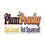 PlumPeachy: EXTREMEBEAM FLASHLIGHT CLOSEOUT BUNDLE – FACTORY REFURBISHED