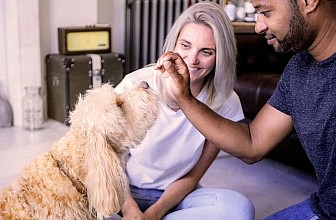 Reimagining Travel and Pet Care: How TrustedHousesitters Is Revolutionizing In-Home Care and Global Travel