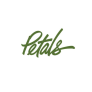 Petals : Magnolia Silk Flower Arrangement