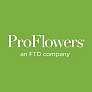 ProFlowers : Bliss White Orchid