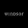 Windsor : VERA SATIN LACE UP FORMAL DRESS